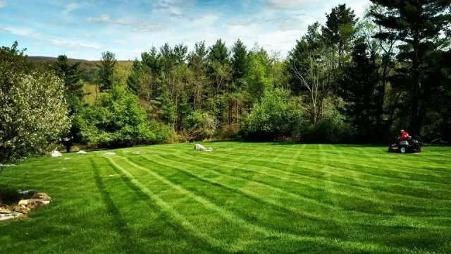 Landscaping