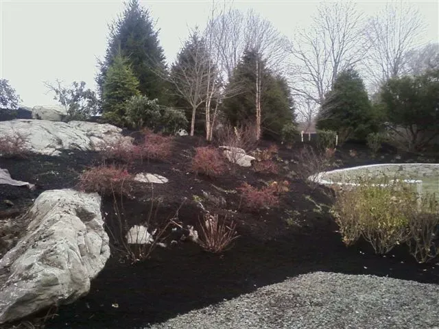 Rocky landscaped garden with dark mulch, shrubs, bare trees, and a gravel path
