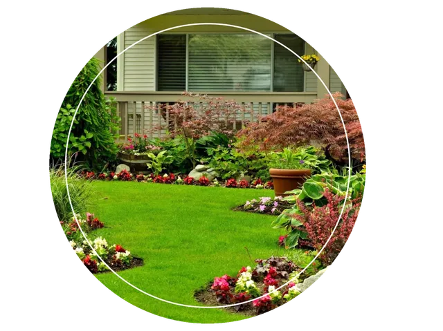 A garden with flowers and bushes in the middle of it.
