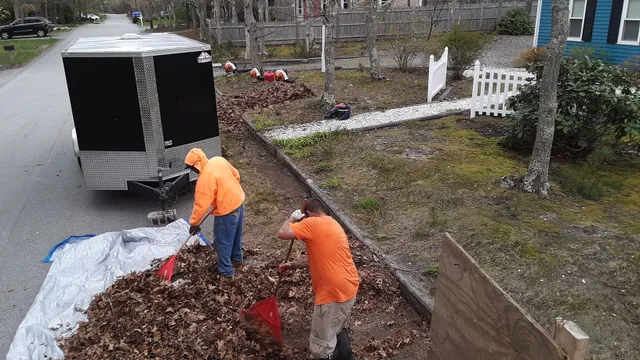 All Cape Dump Runs & Landscape work photo