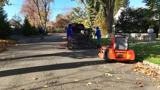 A group of people are cleaning a driveway with a lawn mower.