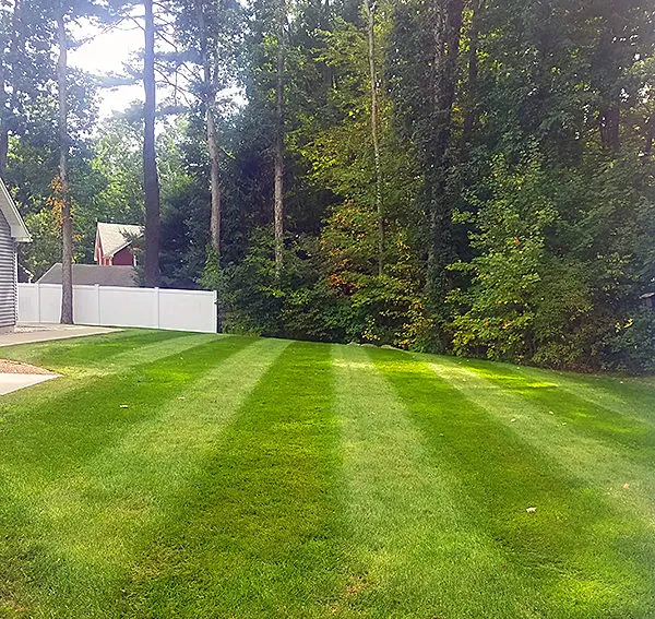 Fertilizer & Turf Renovation