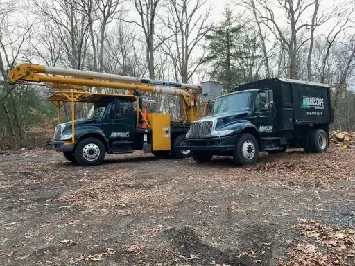 work photo from arborscapetree.com