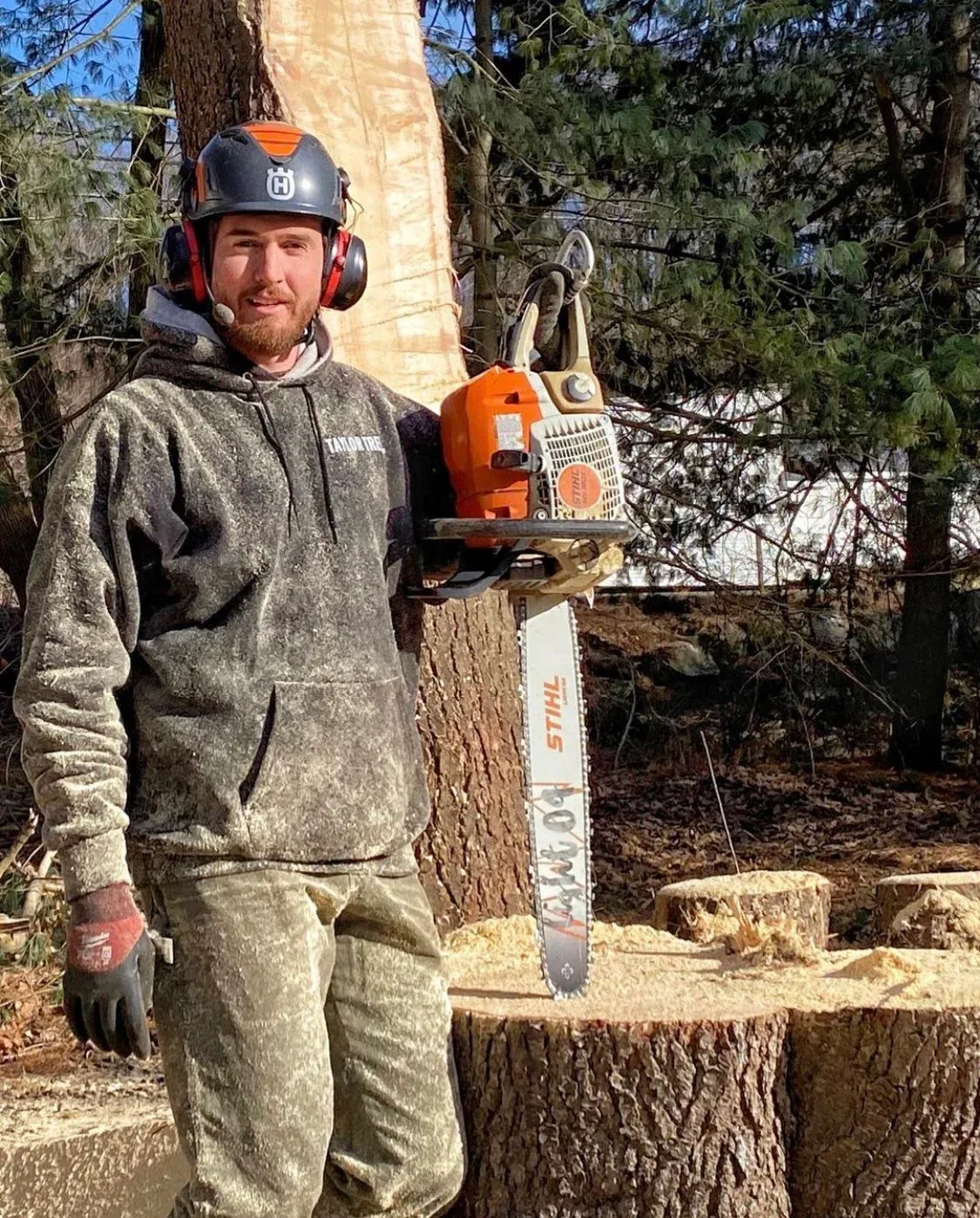 Taylor Tree Service provides tree removal, tree trimming, stump grinding services to MA Hampden County, Hampshire County, lower Berkshire and Worcester County as well as Hartford County and Tolland County CT.