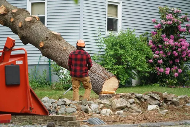 work photo from championtreeworkinc.com