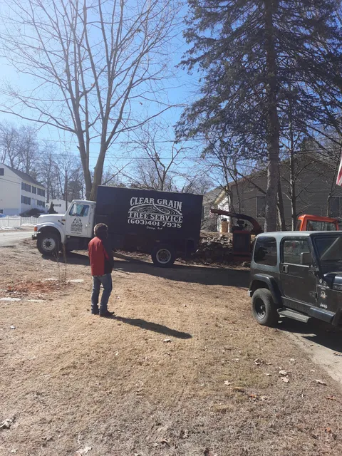 Clear Grain Tree Service work photo