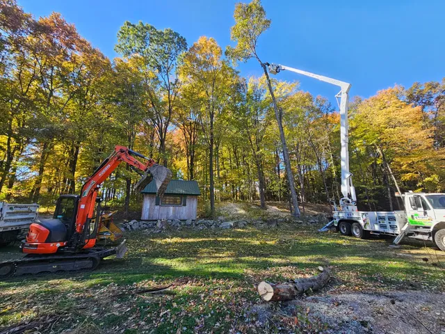 Angelo Tree Services llc work photo
