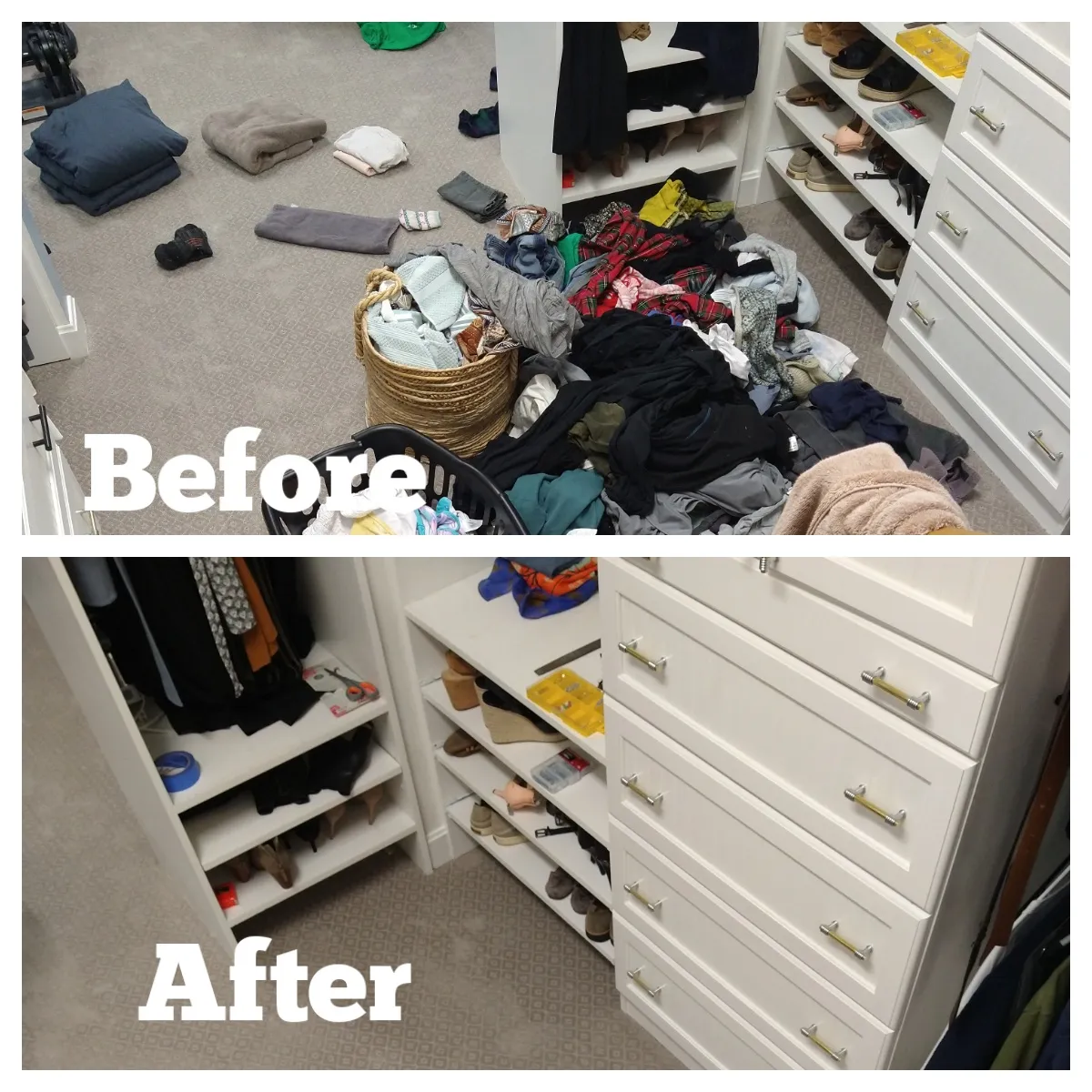 One Clean House