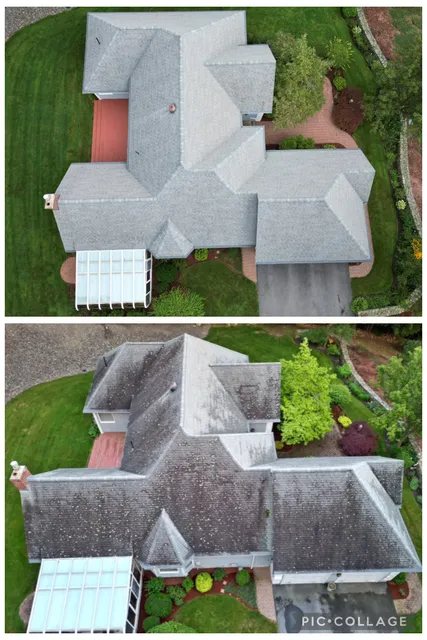 Green Monster Roof Cleaning