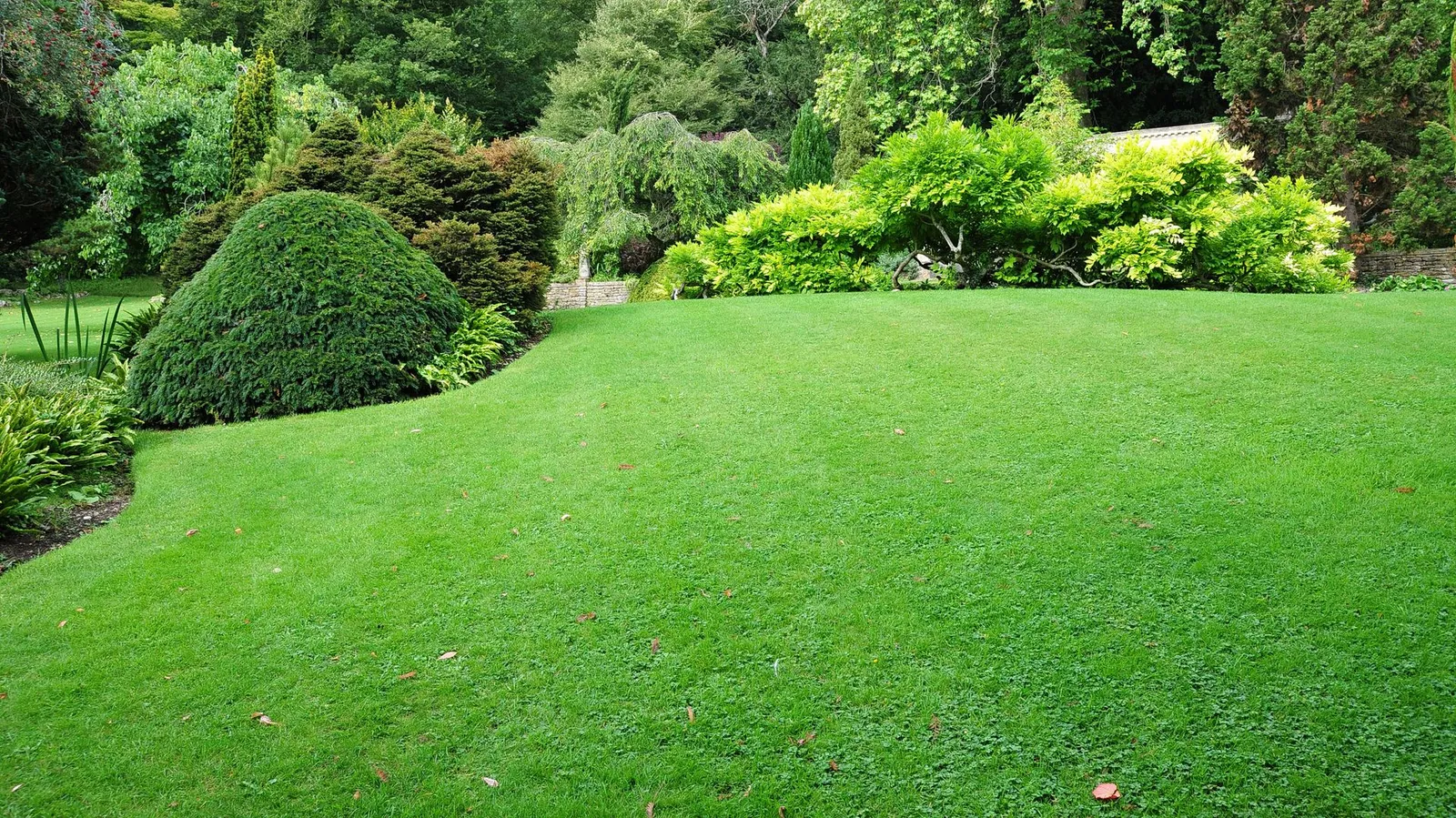 lawn care company