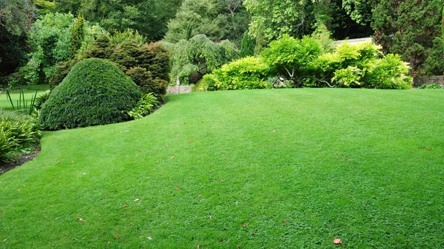 lawn care company