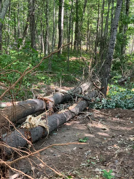 work photo from aslexcavating.com