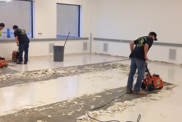 Omega Demo & Disposal work photo
