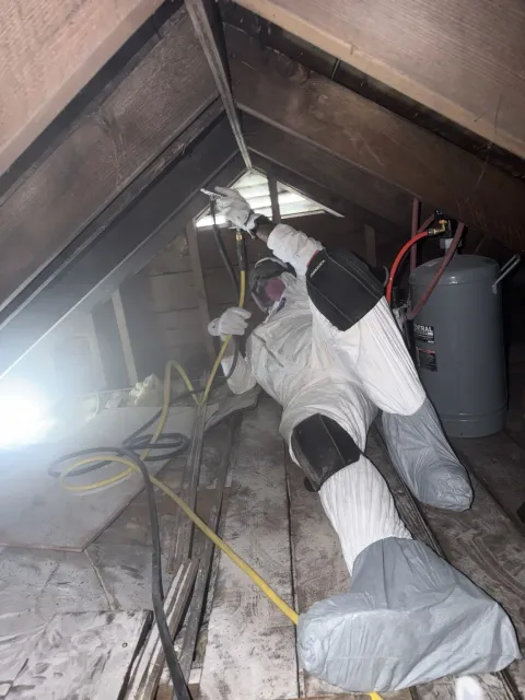 Immediate Restoration Pros work photo