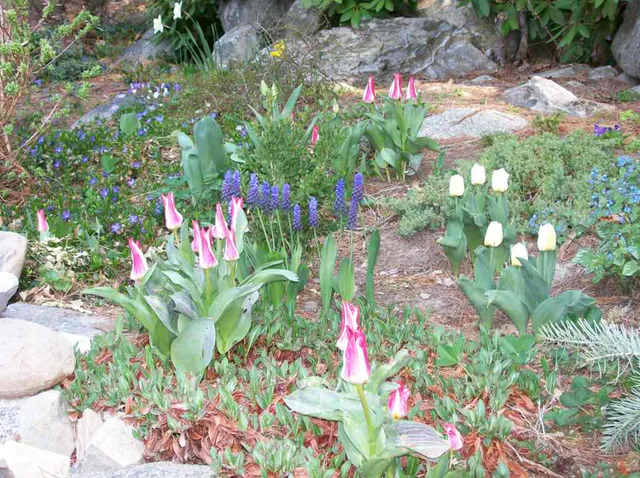 Elizabeth Dudley Landscape Architecture work photo