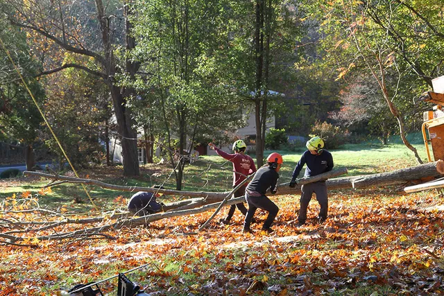 work photo from ronyslandscapinginc.com