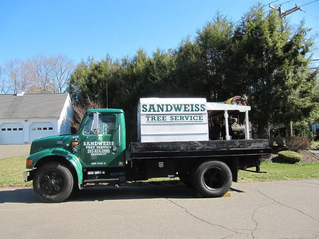 work photo from sandweisstrees.com