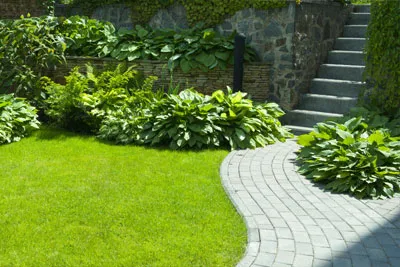 Landscaping Design & Installation