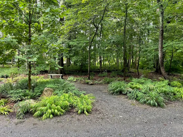 The Fernery at Bristow Bird Sanctuary