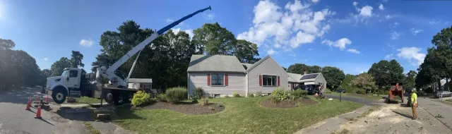 Tree Removal