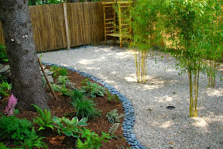 River Birch Design