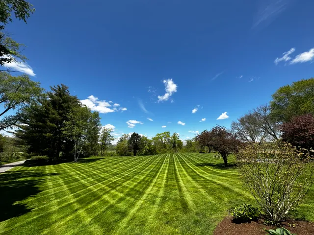 SNS Lawn Care work photo