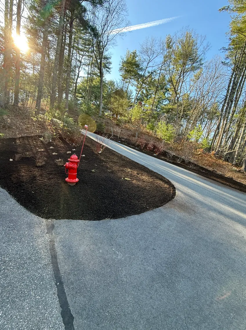 Mulch Bed & Curb Appeal