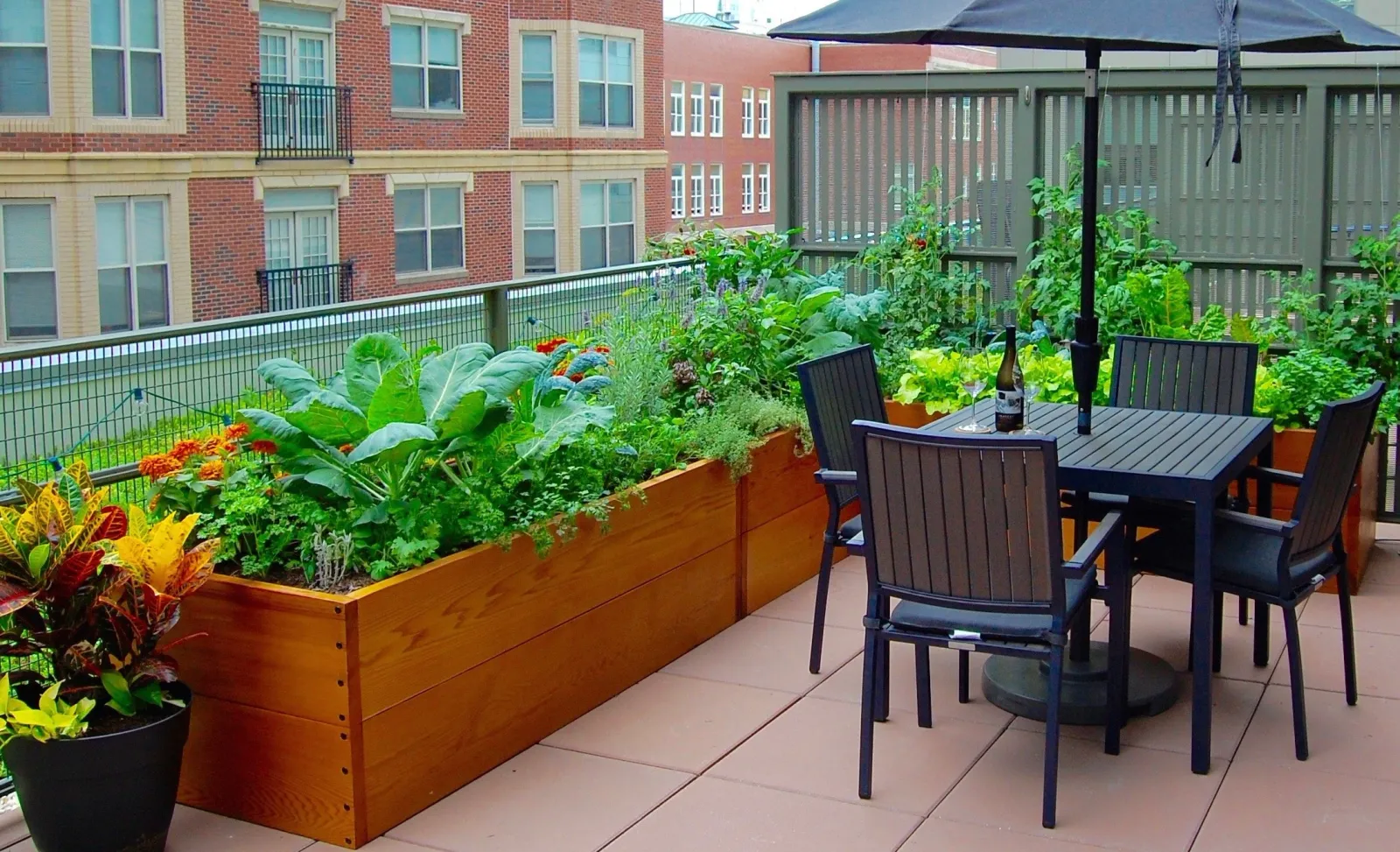 Transform your landscape.jpg