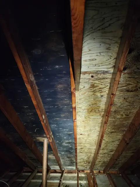 Mold Solutions