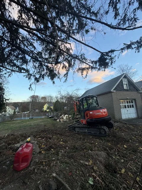 Compact tracked excavator working beside a house at dusk with evergreen branches in the foreground