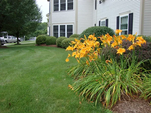 work photo from turfntimberlandscaping.com