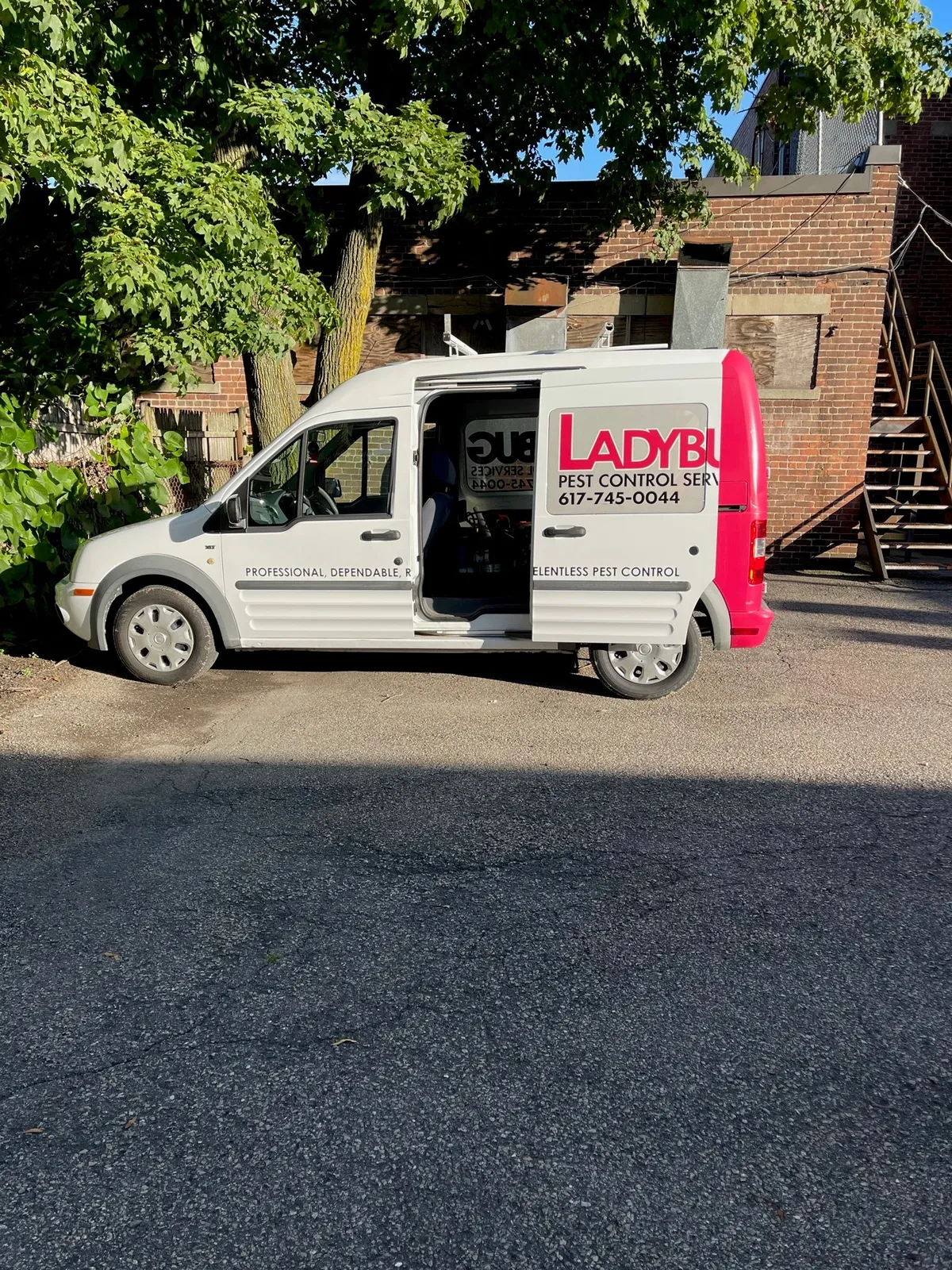 Ladybug Pest Control Services