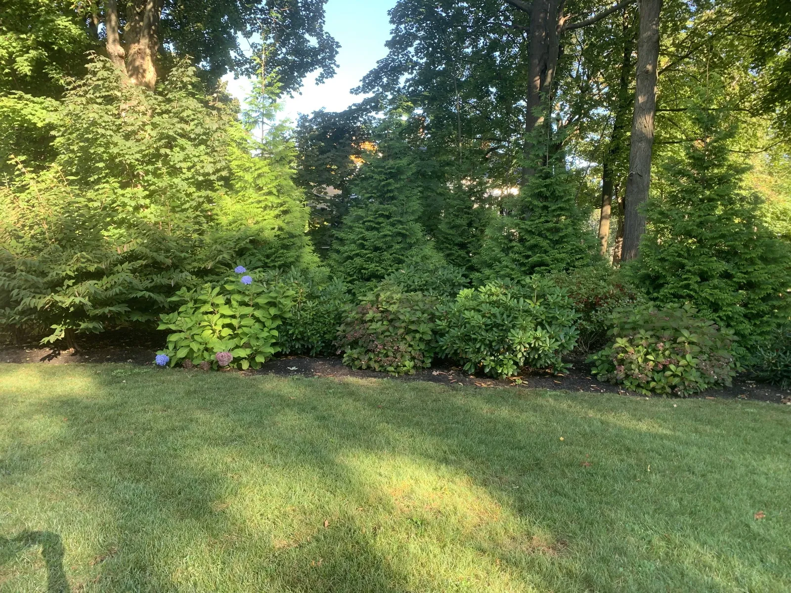work photo from jessieccarusolandscaping.com