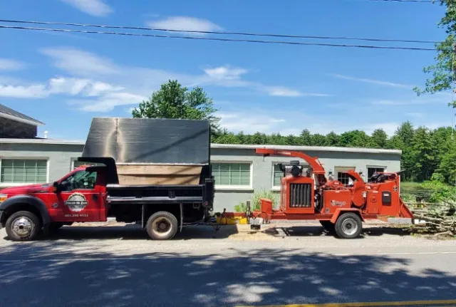 work photo from btbtreeservice.com