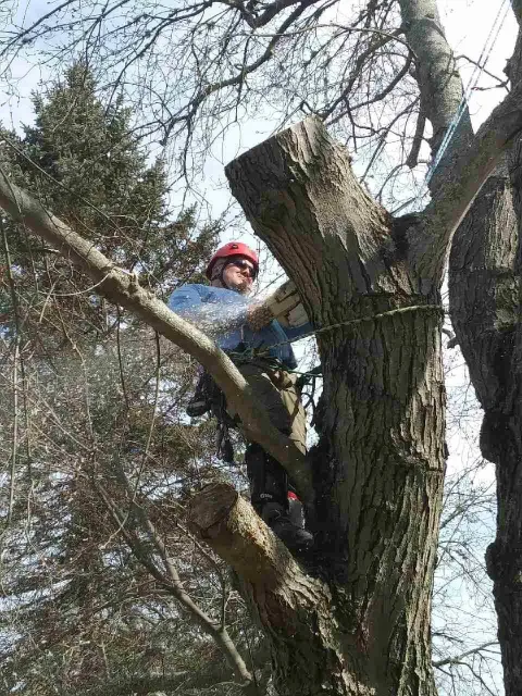 Climbing1c.jpeg
