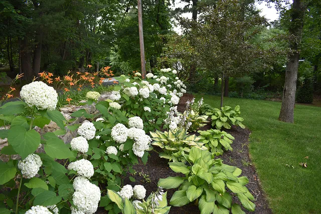 work photo from samanthasgardens.com