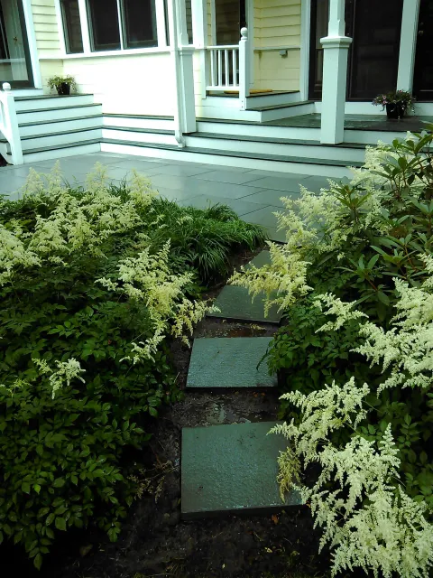 Stepping stones through dense green shrubs leading to a white house porch and steps