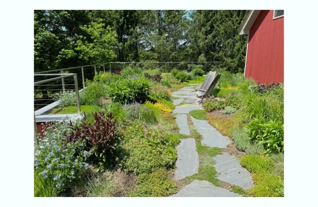 Apex Green Roofs researched project photo