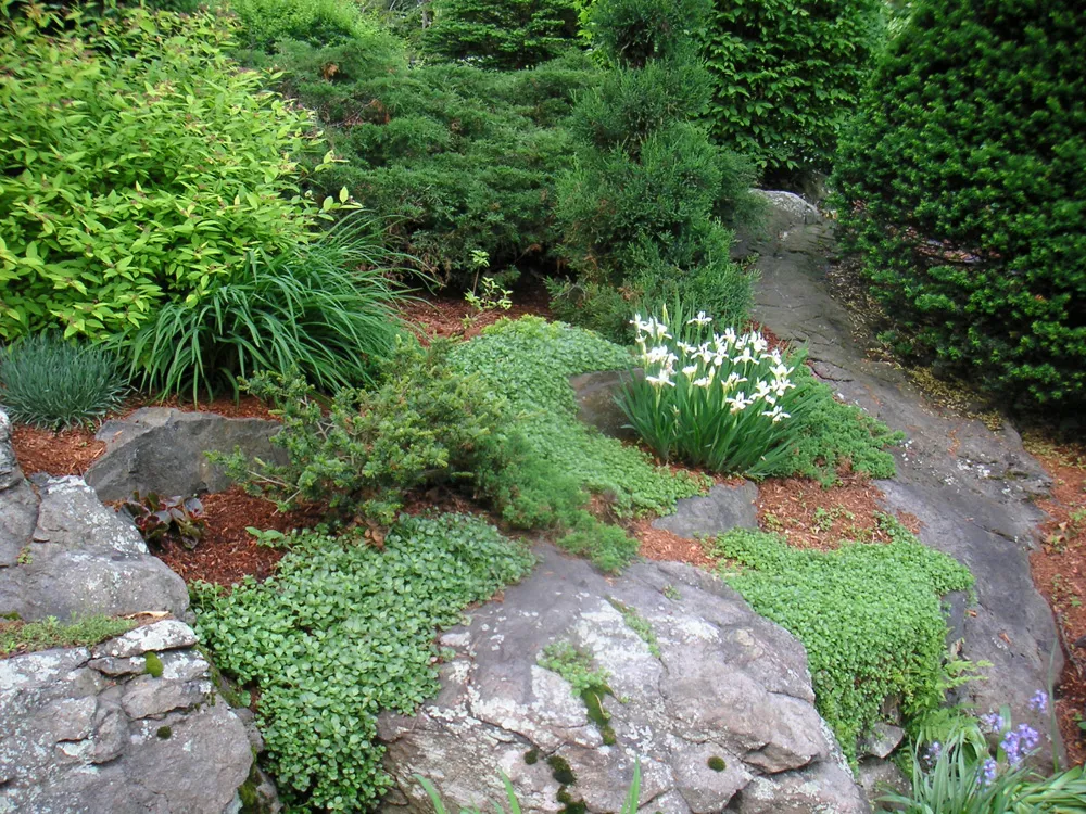 work photo from charlesriverlandscape.com