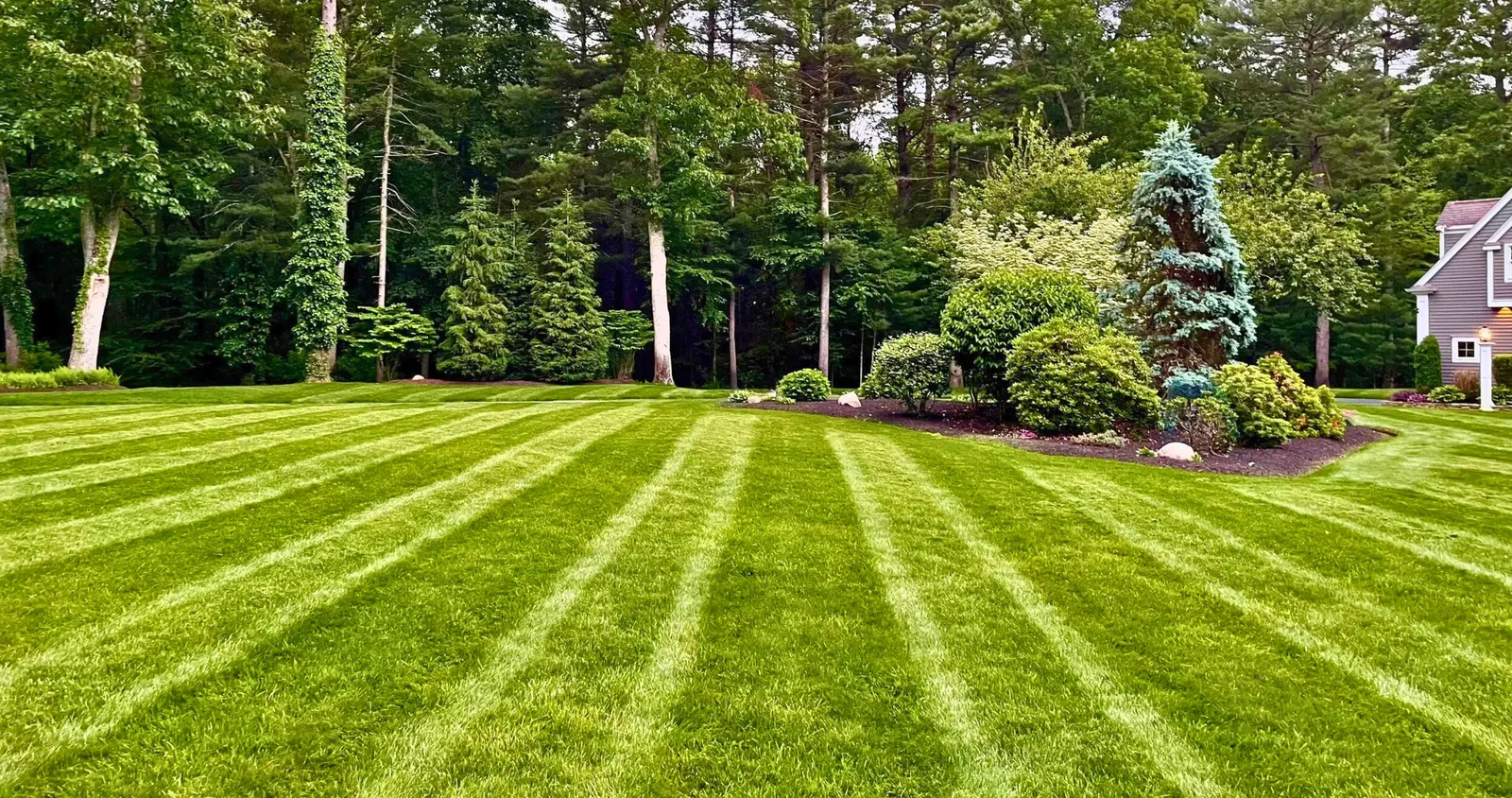 Routine Lawn Care Services by RJM Landscape LLC South Shore MA