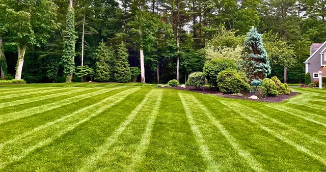 Routine Lawn Care Services by RJM Landscape LLC South Shore MA