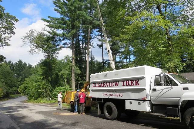 work photo from clearviewtreeserv.com