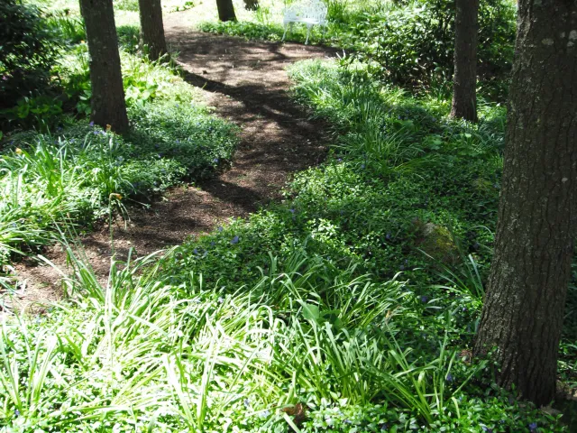 DSCF0968.JPG