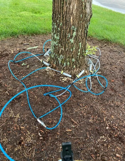 Landscape Weed & Pest Solutions work photo