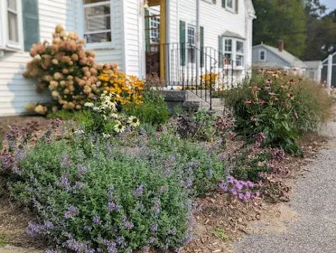 Garden with flowering plants in front of a white house with a porch and steps.
