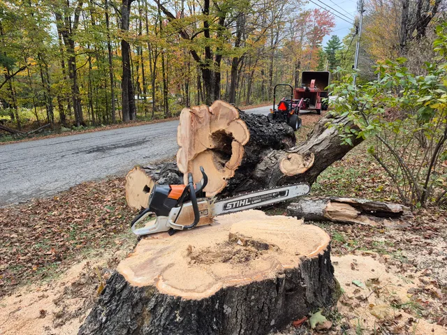 Beneath the Bark Tree Services work photo