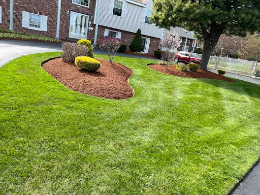 Review photo by Antonio’s landscaping