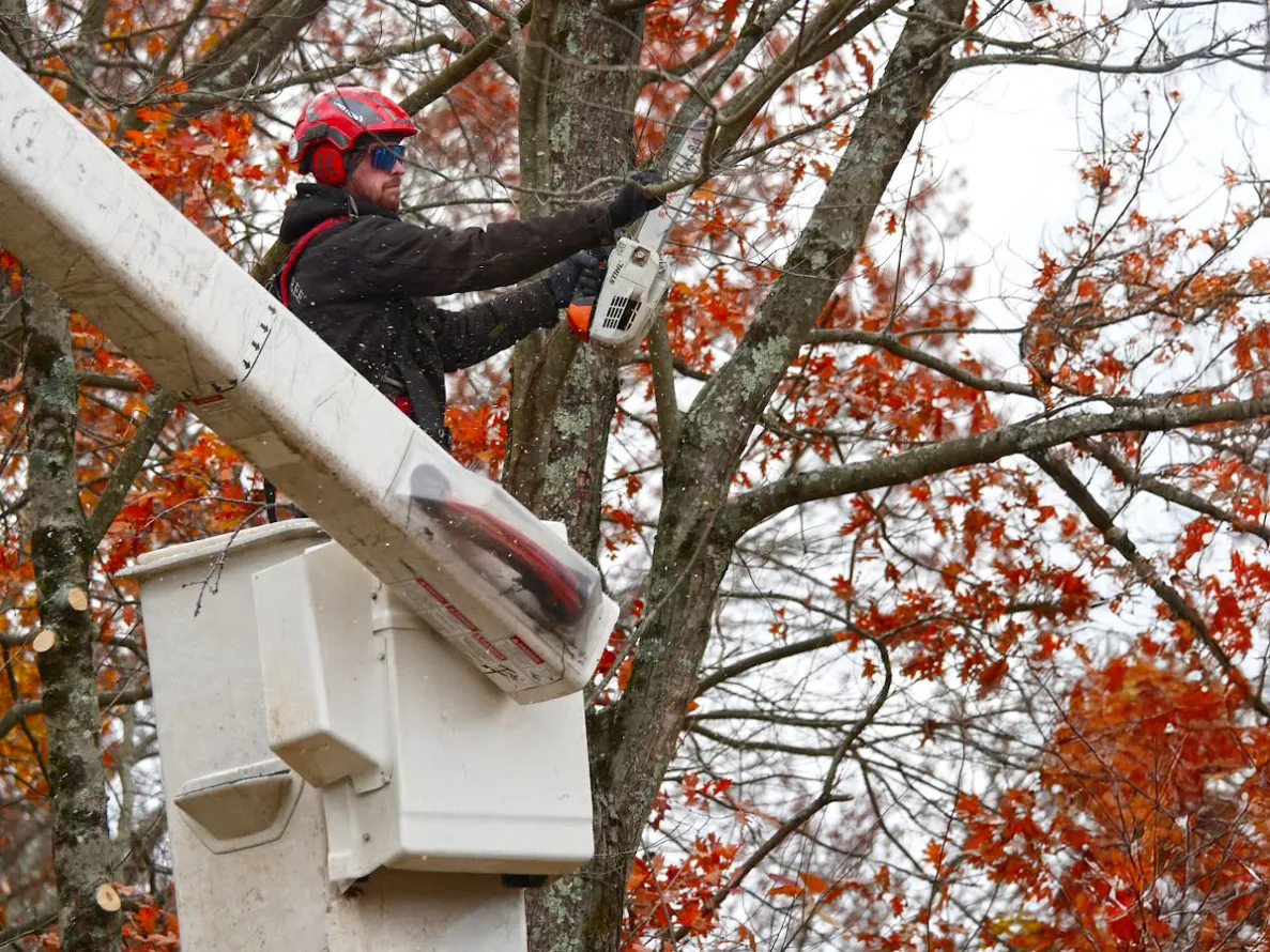 Brooke-Arborist-P1160129