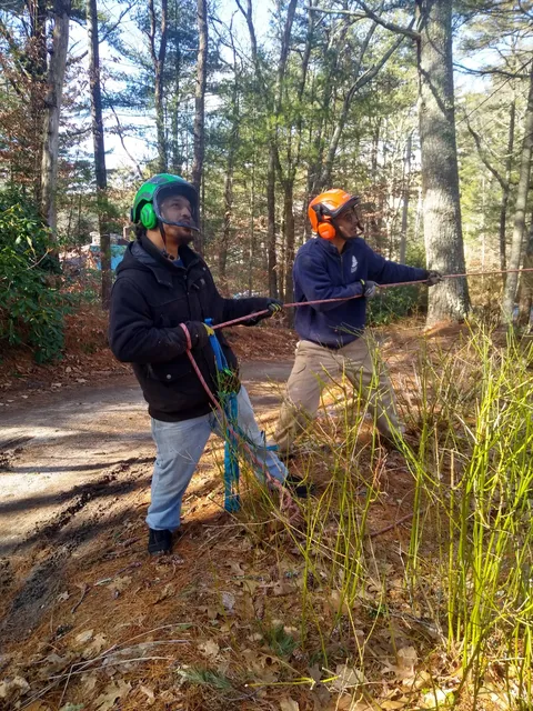 work photo from Google listing