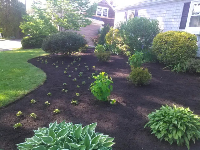 J. Liborio Landscape Design work photo